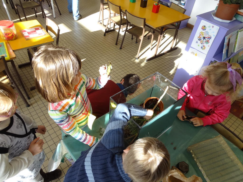 La toilette des escargots Blog école les enfants du marais st hippolyte